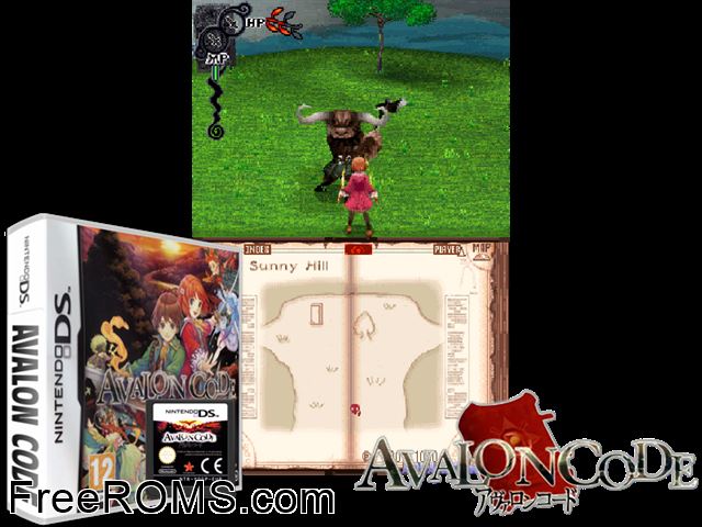 Avalon Code Europe NDS game showing 3D box cover and gameplay screenshot