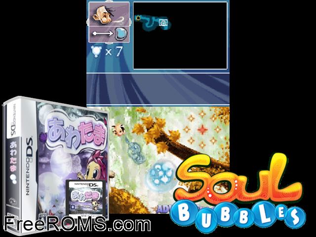 Awatama Japan NDS game showing 3D box cover and gameplay screenshot