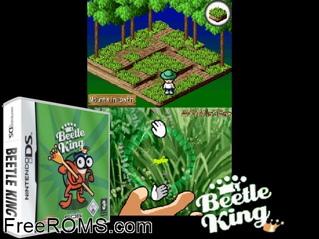 Beetle King Europe NDS game showing 3D box cover and gameplay screenshot