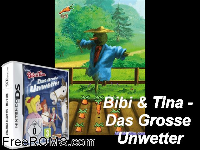 Bibi und Tina - Das Grosse Unwetter Germany NDS game showing 3D box cover and gameplay screenshot