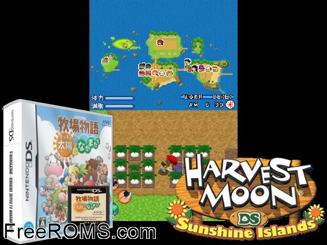 Bokujou Monogatari - KiraKira Taiyou to Nakamatachi Japan NDS game showing 3D box cover and gameplay screenshot