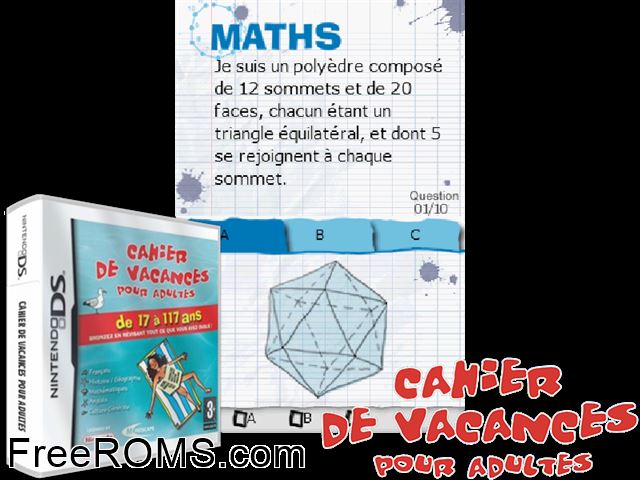 Cahier de Vacances pour Adultes France NDS game showing 3D box cover and gameplay screenshot