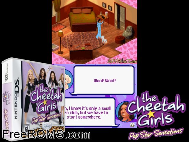 Cheetah Girls - Pop Star Sensations, The NDS game showing 3D box cover and gameplay screenshot