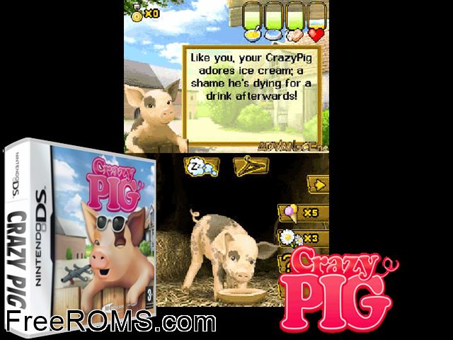 Crazy Pig Europe NDS game showing 3D box cover and gameplay screenshot