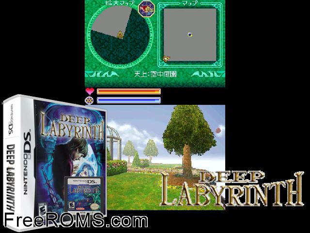Deep Labyrinth NDS game showing 3D box cover and gameplay screenshot