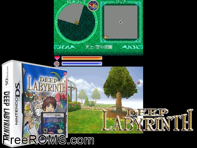 Deep Labyrinth Europe NDS game showing 3D box cover and gameplay screenshot
