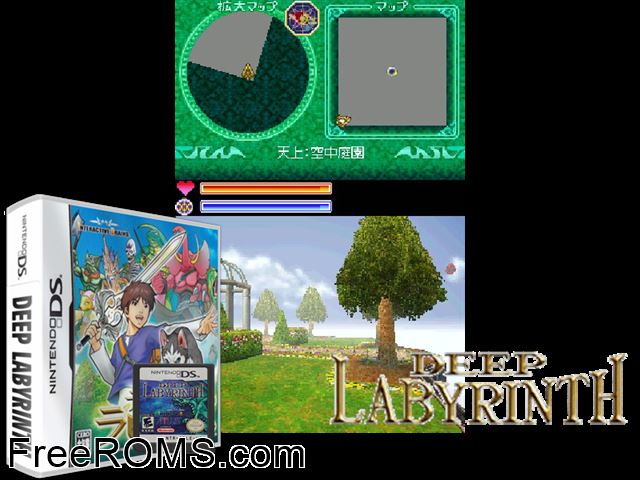 Deep Labyrinth Japan NDS game showing 3D box cover and gameplay screenshot