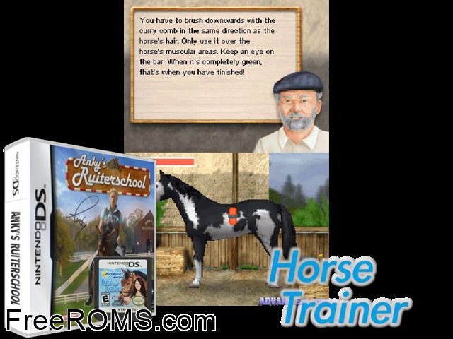 Deine ReitSchule Europe NDS game showing 3D box cover and gameplay screenshot