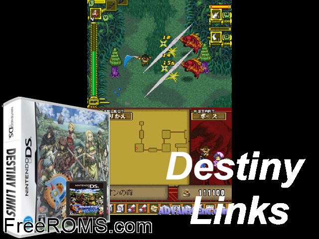 Destiny Links Japan NDS game showing 3D box cover and gameplay screenshot