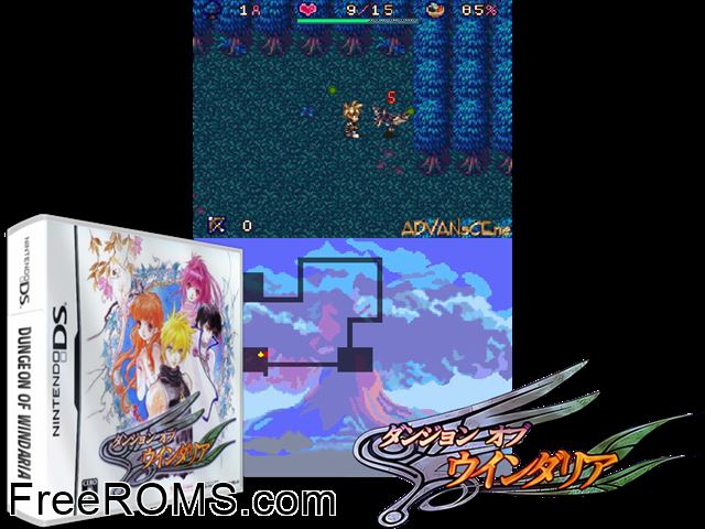 Dungeon of Windaria Japan NDS game showing 3D box cover and gameplay screenshot