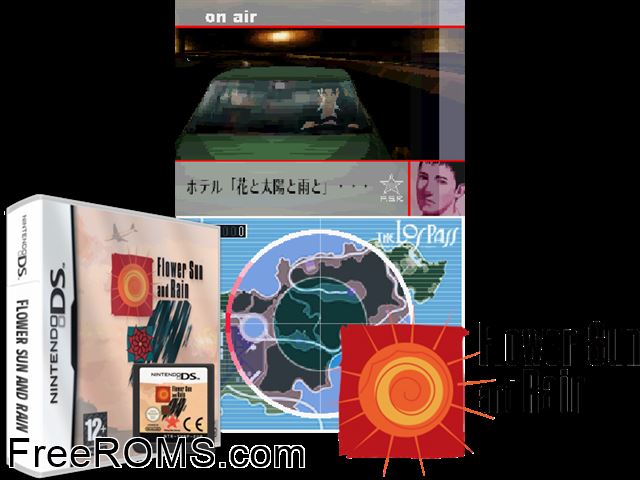 Flower Sun and Rain Europe NDS game showing 3D box cover and gameplay screenshot