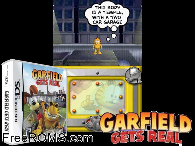 Garfield Gets Real NDS game showing 3D box cover and gameplay screenshot