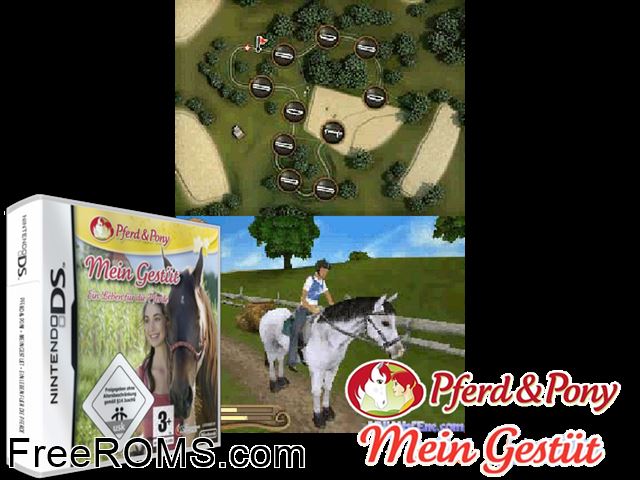 Horse and Foal - My Riding Stables - Life with Horses Europe NDS game showing 3D box cover and gameplay screenshot