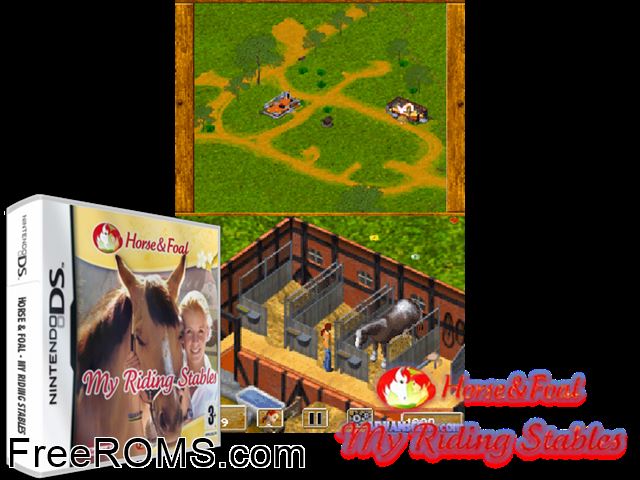 Horse and Foal - My Riding Stables Europe NDS game showing 3D box cover and gameplay screenshot