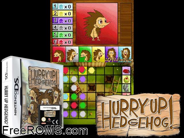 Hurry Up Hedgehog! NDS game showing 3D box cover and gameplay screenshot