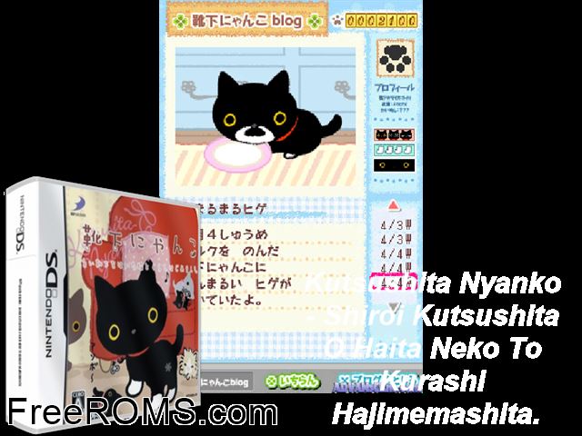 Kutsushita Nyanko - Shiroi Kutsushita o Haita Neko to Kurashi Hajimemashita. Japan NDS game showing 3D box cover and gameplay screenshot