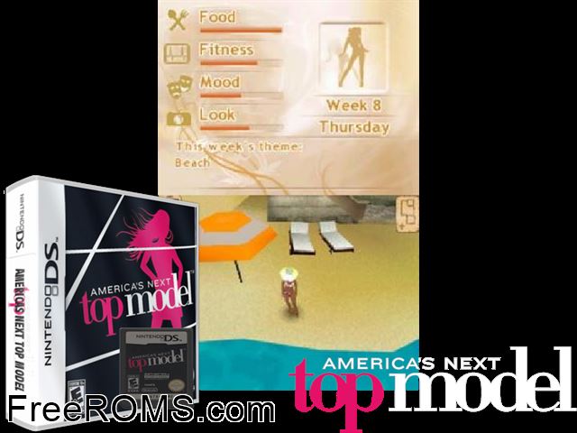 Mission Runway NDS game showing 3D box cover and gameplay screenshot