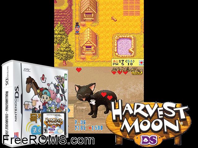 Mokjang Iyagi Korobokgur Station NDS game showing 3D box cover and gameplay screenshot