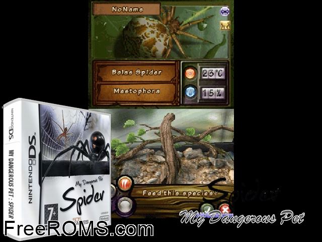 My Dangerous Pet - Spider Europe NDS game showing 3D box cover and gameplay screenshot