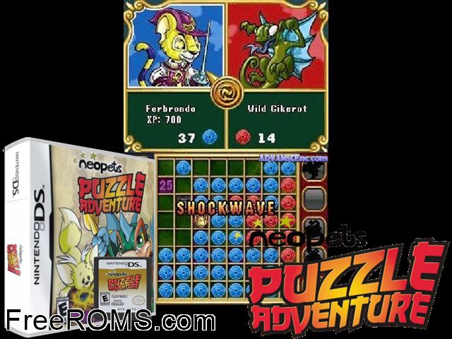 Neopets Puzzle Adventure Europe NDS game showing 3D box cover and gameplay screenshot