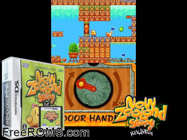 New Zealand Story Revolution NDS game showing 3D box cover and gameplay screenshot