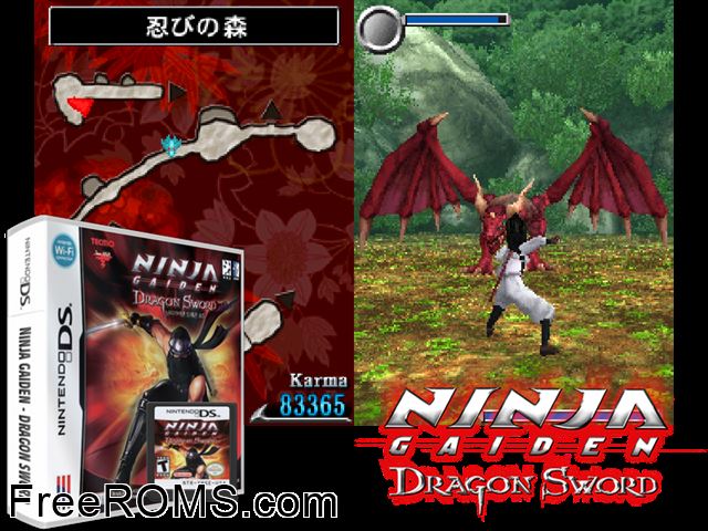 Ninja Gaiden Dragon Sword NDS game showing 3D box cover and gameplay screenshot