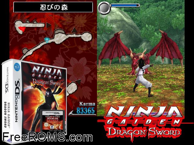 Ninja Gaiden Dragon Sword Europe NDS game showing 3D box cover and gameplay screenshot