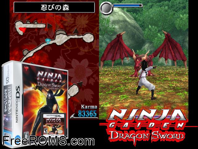 Ninja Gaiden Dragon Sword Japan NDS game showing 3D box cover and gameplay screenshot