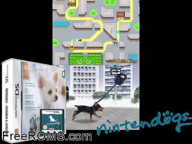 Nintendogs - Chihuahua and Friends NDS game showing 3D box cover and gameplay screenshot