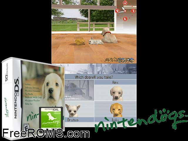 Nintendogs - Lab and Friends NDS game showing 3D box cover and gameplay screenshot