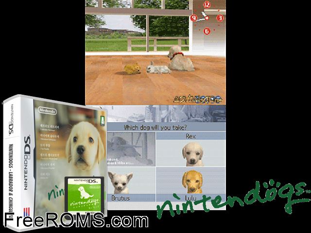 Nintendogs - Labrador and Friends NDS game showing 3D box cover and gameplay screenshot