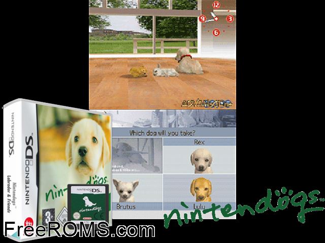 Nintendogs - Labrador and Friends Europe NDS game showing 3D box cover and gameplay screenshot