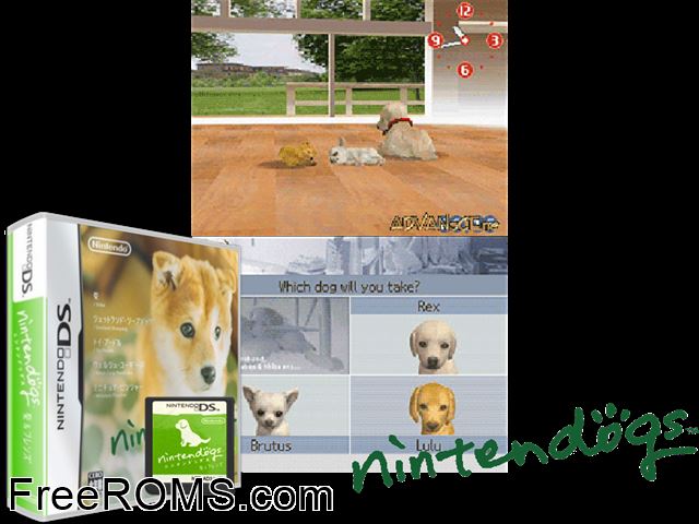 Nintendogs - Shiba and Friends Japan NDS game showing 3D box cover and gameplay screenshot