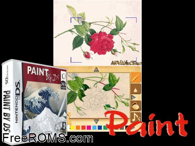 Paint by DS Europe NDS game showing 3D box cover and gameplay screenshot
