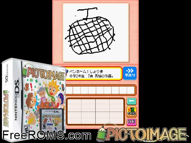PictoImage NDS game showing 3D box cover and gameplay screenshot