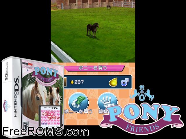Pony Friends NDS game showing 3D box cover and gameplay screenshot