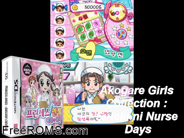 Princess Angel NDS game showing 3D box cover and gameplay screenshot