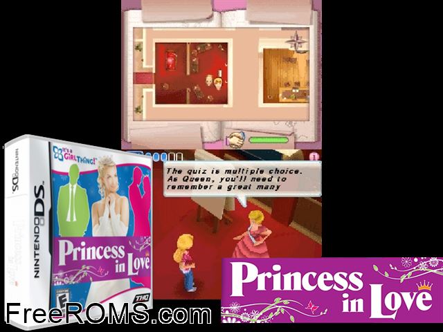 Princess in Love NDS game showing 3D box cover and gameplay screenshot