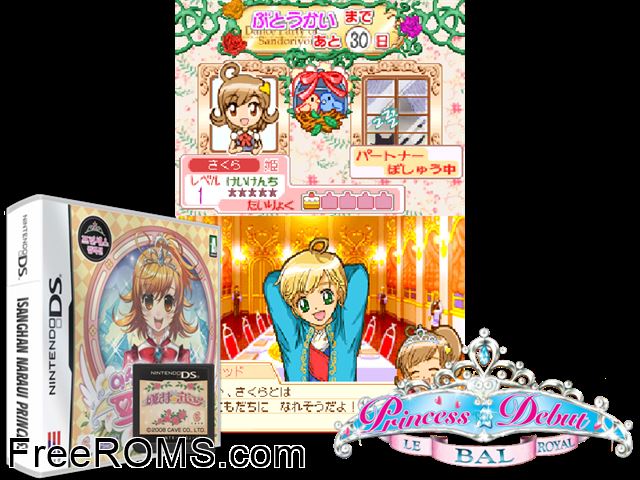 Princess in Wonderland Korea NDS game showing 3D box cover and gameplay screenshot