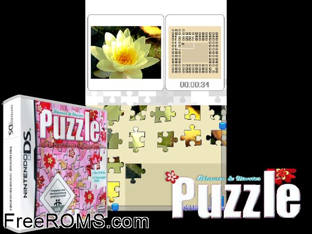 Puzzle - Flowers and Patterns Europe NDS game showing 3D box cover and gameplay screenshot