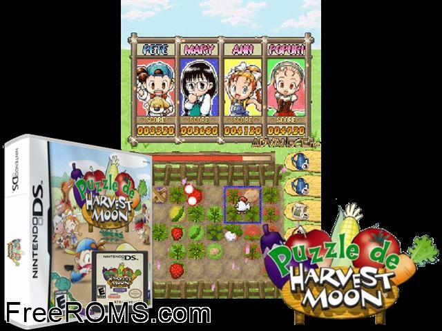 Puzzle de Harvest Moon NDS game showing 3D box cover and gameplay screenshot