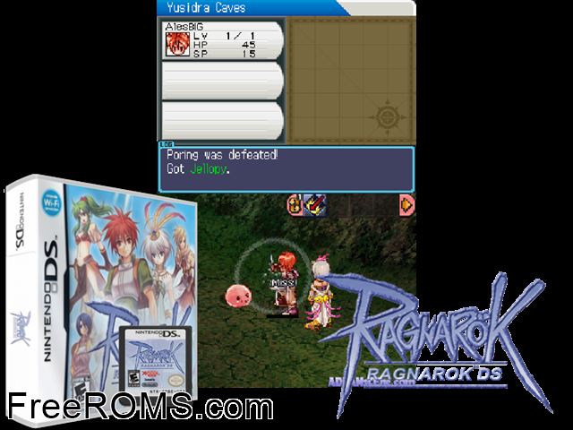 Ragnarok DS NDS game showing 3D box cover and gameplay screenshot