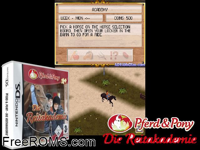 Real Stories - Cheval Academy France NDS game showing 3D box cover and gameplay screenshot