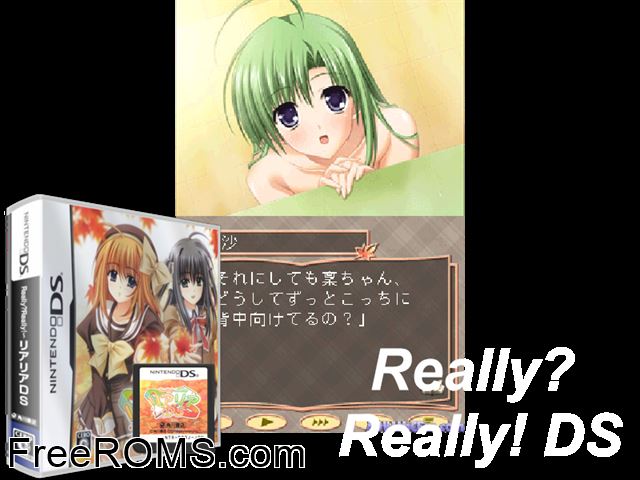 Really! Really! DS Japan NDS game showing 3D box cover and gameplay screenshot