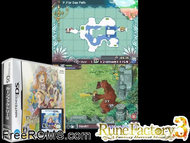 Rune Factory 3 Japan NDS game showing 3D box cover and gameplay screenshot
