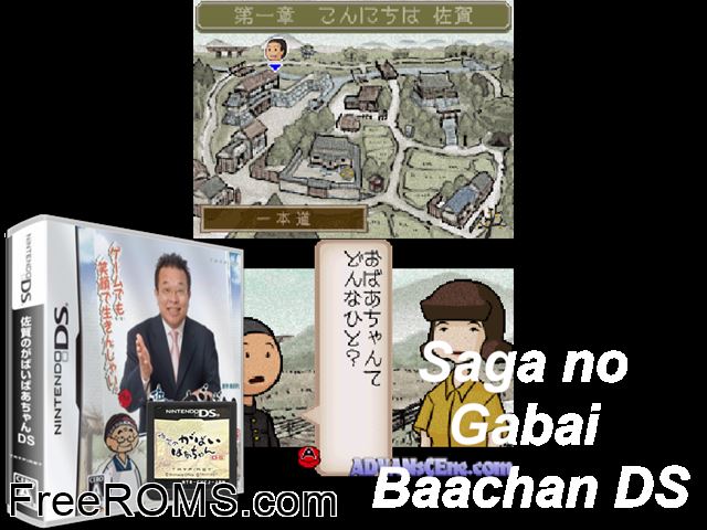 Saga no Gabai Baachan DS Japan NDS game showing 3D box cover and gameplay screenshot