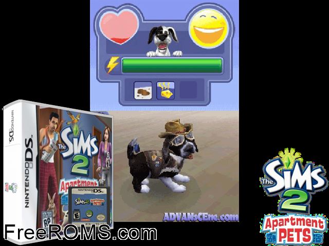 Sims 2 - Apartment Pets, The NDS game showing 3D box cover and gameplay screenshot