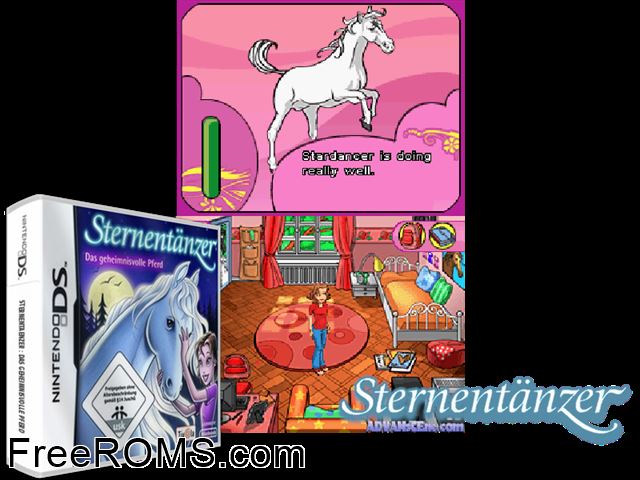 Stardancer Europe NDS game showing 3D box cover and gameplay screenshot