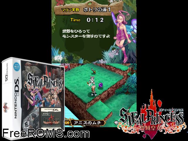 Steal Princess NDS game showing 3D box cover and gameplay screenshot