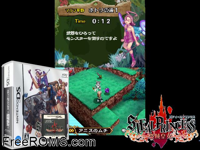 Steal Princess - Touzoku Koujo Japan NDS game showing 3D box cover and gameplay screenshot